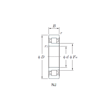 NJ322R KOYO Cylindrical Roller Bearings