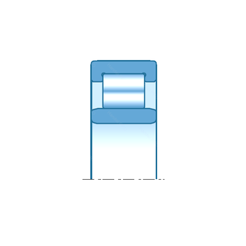 RNU0627 NTN Cylindrical Roller Bearings