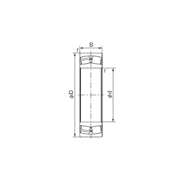 21320EX1 NACHI Cylindrical Roller Bearings