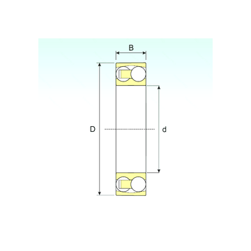 2204 TN9 ISB Self Aligning Ball Bearings