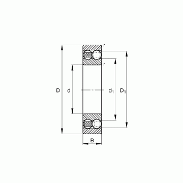 1217-TVH FAG Self Aligning Ball Bearings