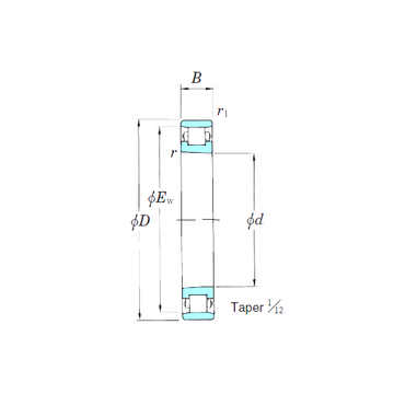 N1021K KOYO Cylindrical Roller Bearings