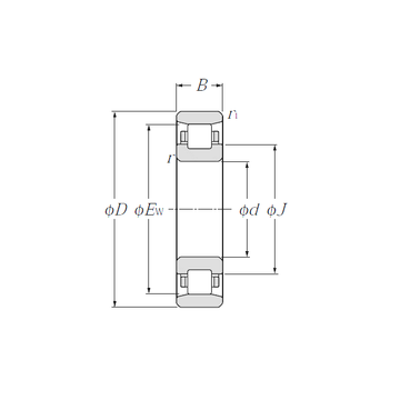 N1076 NTN Cylindrical Roller Bearings