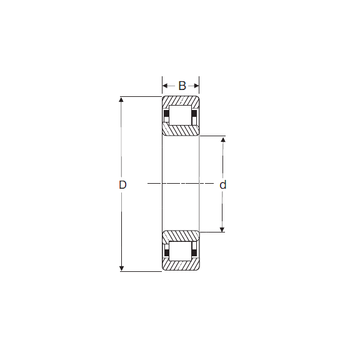 NJ 317 SIGMA Cylindrical Roller Bearings