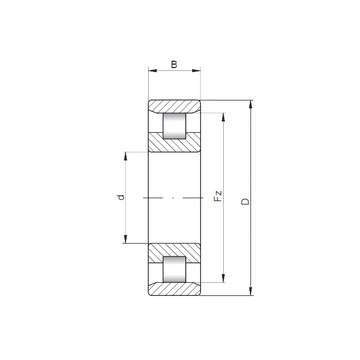 N3040 ISO Cylindrical Roller Bearings #1 small image