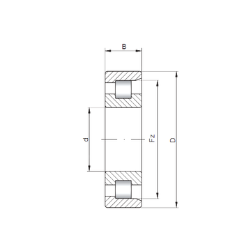 NF3252 CX Cylindrical Roller Bearings #1 small image