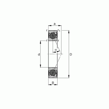 HCB7000-E-2RSD-T-P4S FAG Angular Contact Ball Bearings