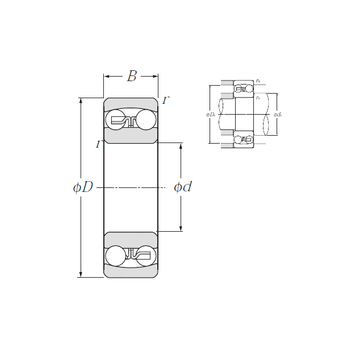 1319S NTN Self Aligning Ball Bearings