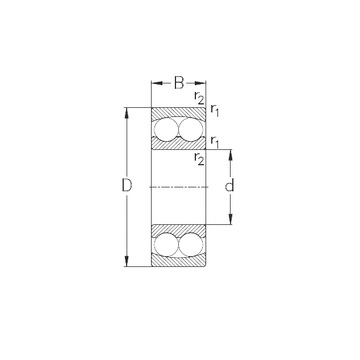 1221 NKE Self Aligning Ball Bearings #1 small image