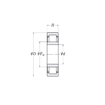 MMRJ1.1/8 RHP Cylindrical Roller Bearings