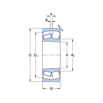 22309 EK SKF Spherical Roller Bearings #1 image